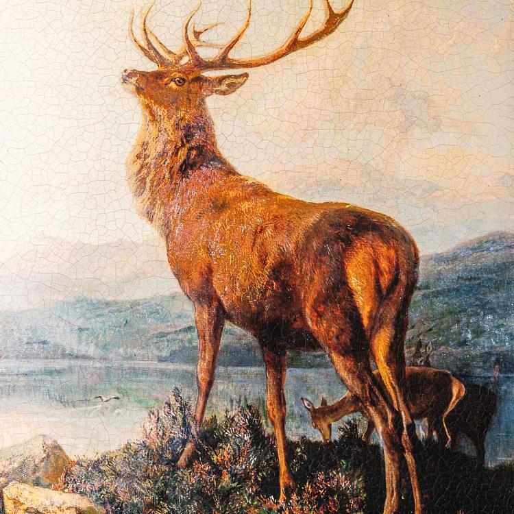 Картина-олеография в чёрной с золотом раме Монарх Долины Monarch Of The Glen, EM10 Frame