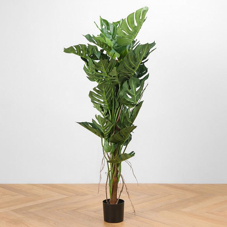 Искусственная монстера на стволе Monstera Tree Trunk 150 cm