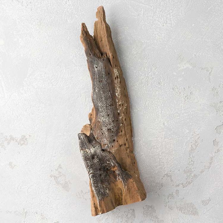 Настенная стеклянная ваза на основании из корней тика Vase Mural En Verre Sur Support Racine