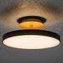 Люстра Asteria Up Ceiling Lamp Medium