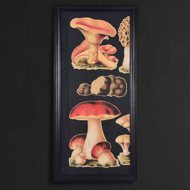Фото-принт триптих Грибы Set Of 3 Mushrooms