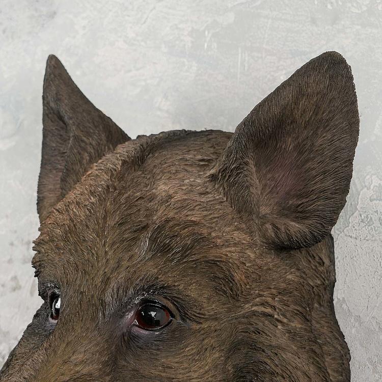 Бра Вепрь Уилли Wall Lamp Boar Willy