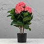 Искусственное растение Hydrangea Bush Pink 55 cm