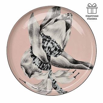 Exo Dinner Plate Banana Beige