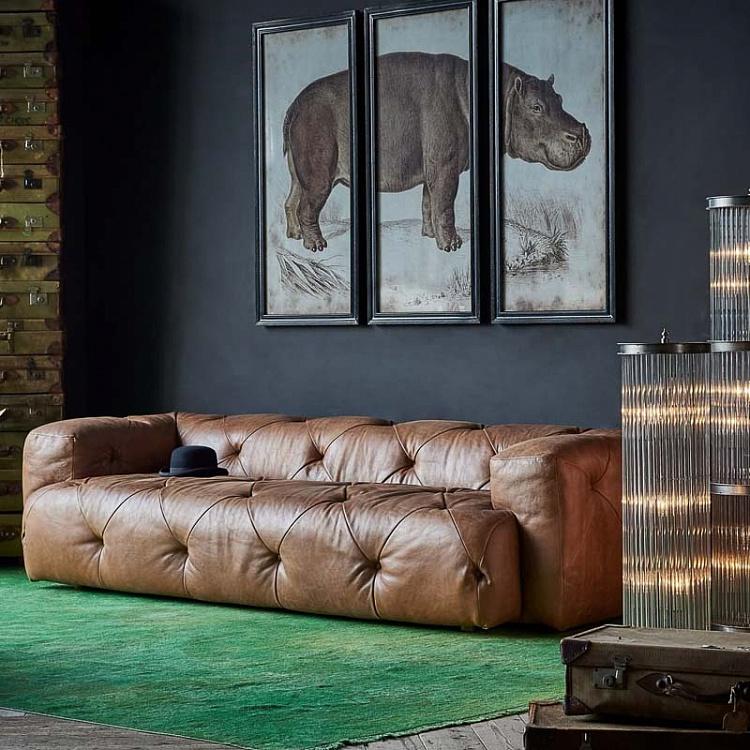 Картина-принт триптих Гиппопотам Set Of 3 Nature Hippo