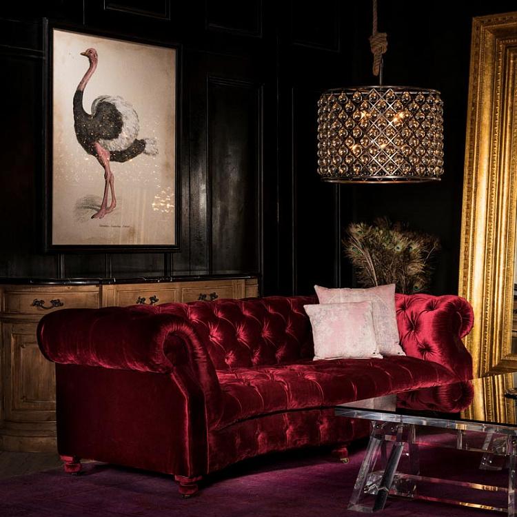 Картина-принт Страус Animal Ostrich