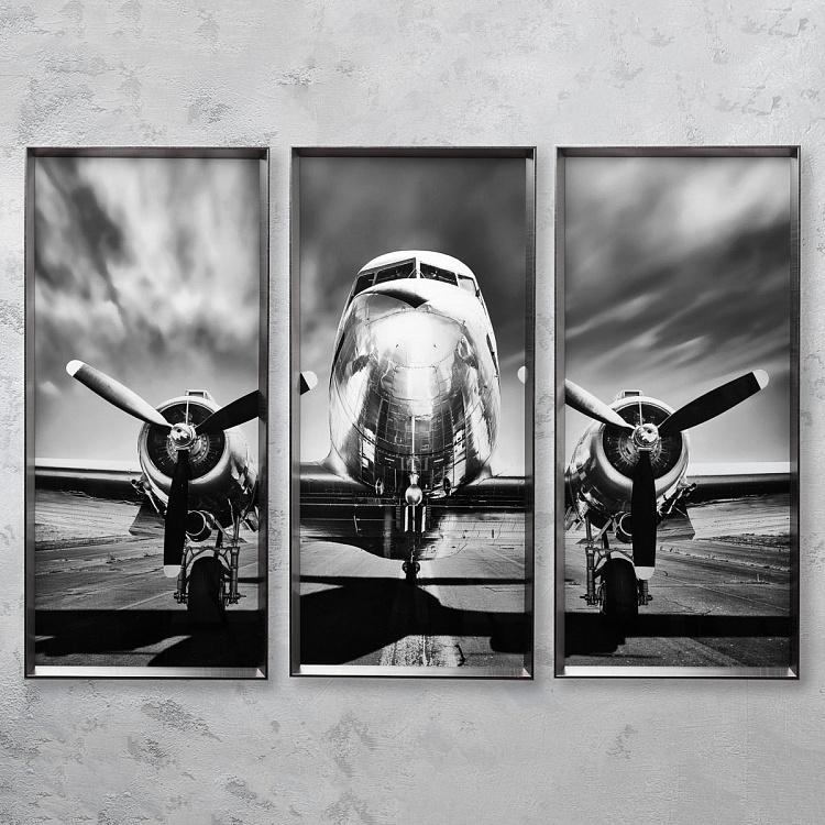 Фото-принт триптих в серебристой раме Аэроплан Set Of 3 Plane, Pewter Frame