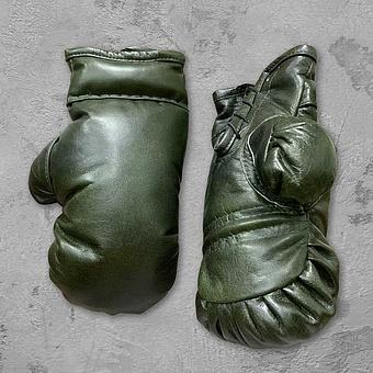 Boxing Gloves RM