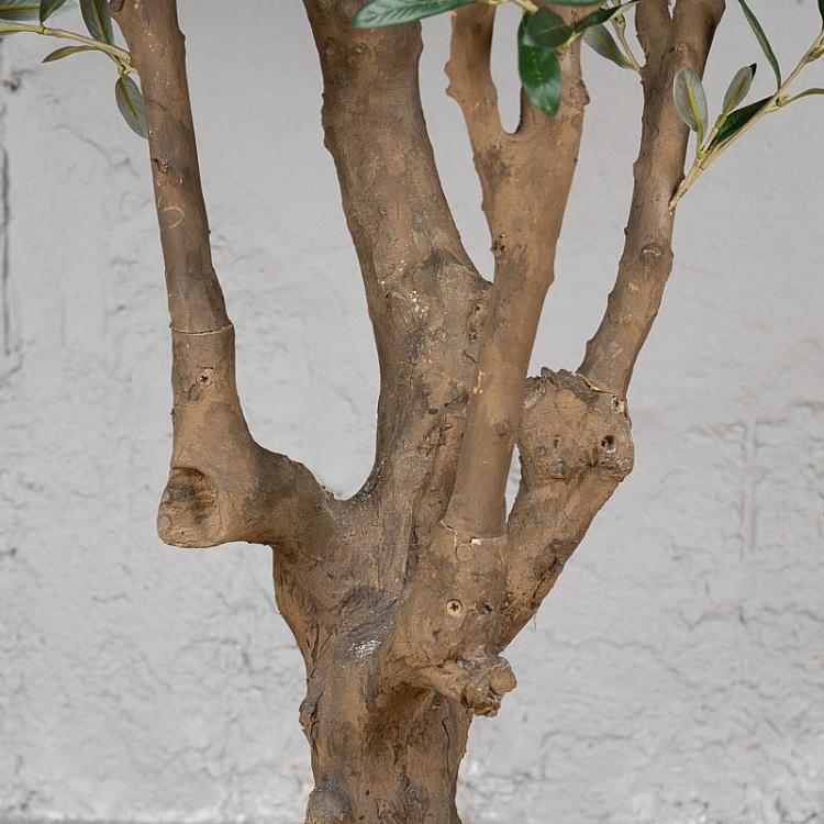 Искусственная олива Джи-Форест с плодами G-Forest Olive With Fruits 210 cm