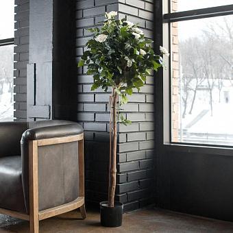 Rose Ball Tree White 150 cm