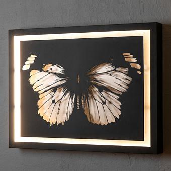 Flutter Wall Art