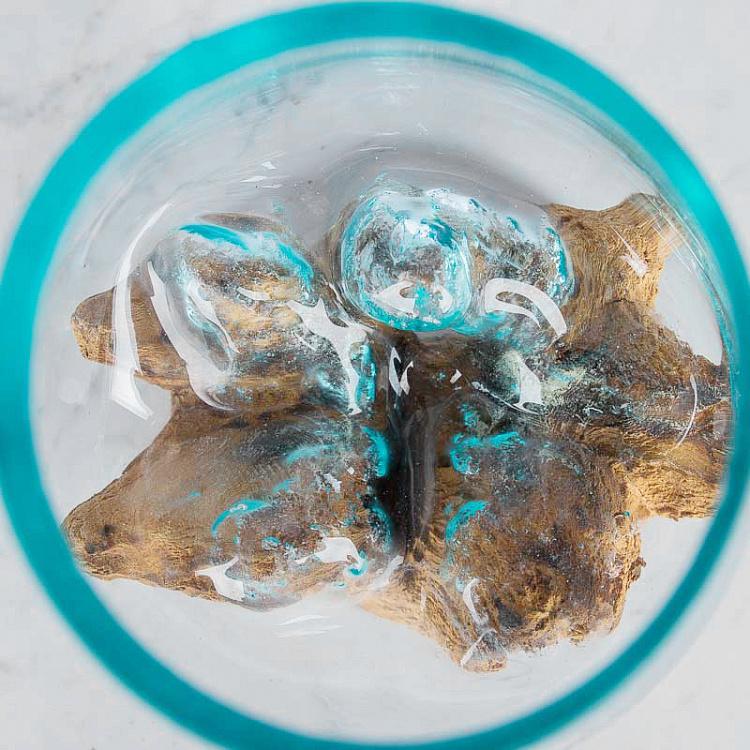 Стеклянная ваза на основании из корней тика Vase Ovale En Verre Sur Support En Racine De Teck