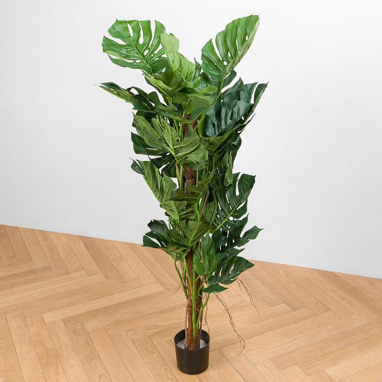 Искусственная монстера на стволе Monstera Tree Trunk 150 cm
