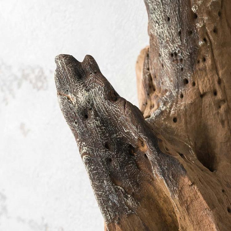 Настенная стеклянная ваза на основании из корней тика Vase Mural En Verre Sur Support Racine