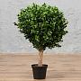 Искусственное растение Boxwood Ball 30 cm