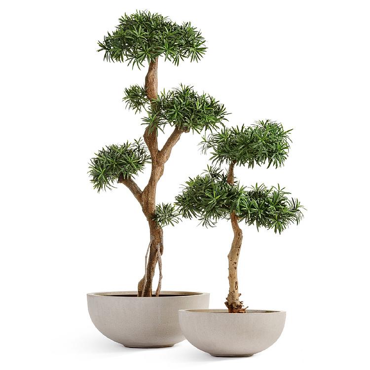 Низкое серо-белое кашпо-чаша Эффектори Бетон, M Effectory Beton Low Bowl White Sand Small