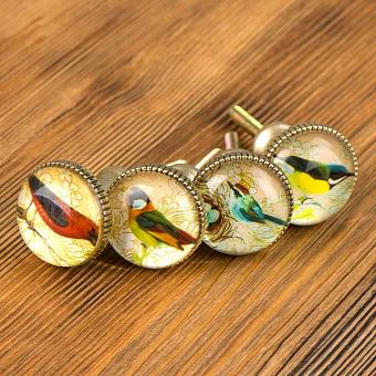 Set Of 4 Handles Birds 1 Gold