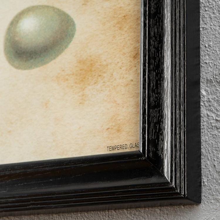 Картина-принт Яйца Animals Eggs