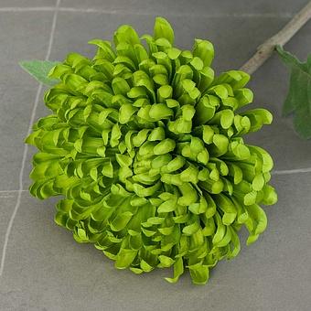 Искусственный цветок Shamrock Chrysanthemum Green 49 cm