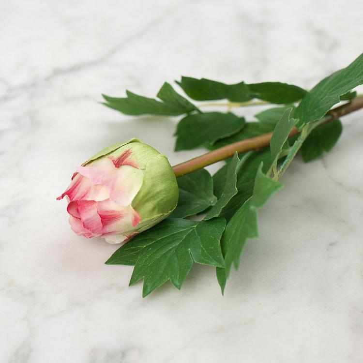 Искусственный пион нежно-розовый Peony Branch Pale Pink 35 cm