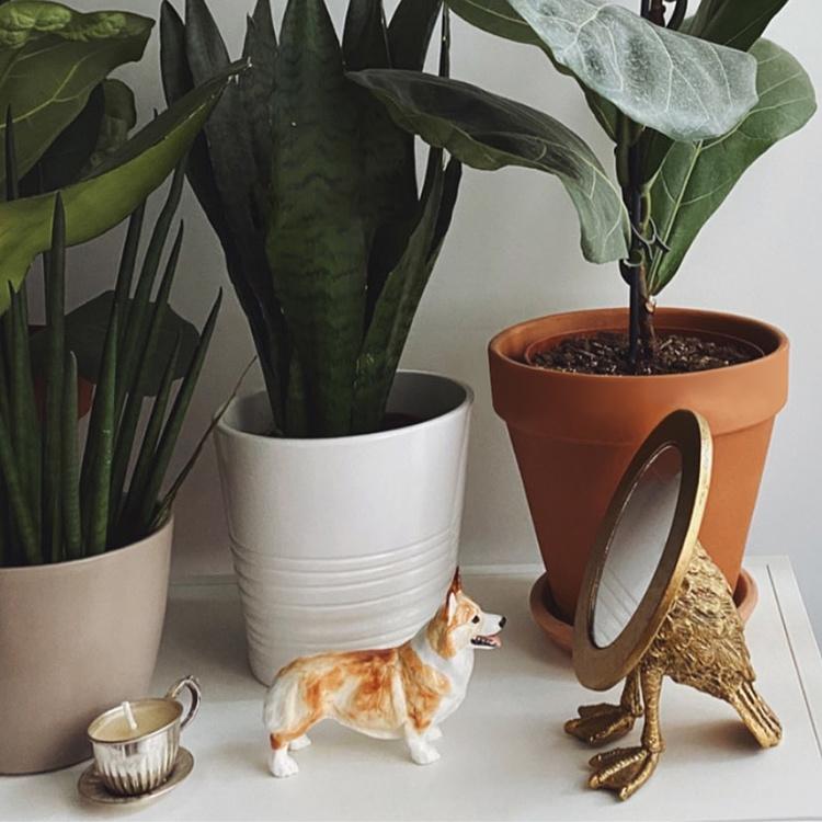 Овальное настольное зеркало Утка Oval Mirror Webbed Feet