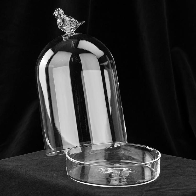 Стеклянный клош с основанием и птицей Glass Dormer With Bird