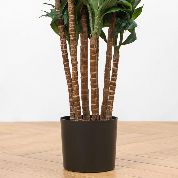 Искусственная драцена Компакта Dracaena Compacta 120 cm