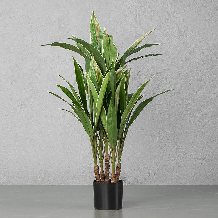Искусственная Кордилина 5 Stems Cordyline 73 cm