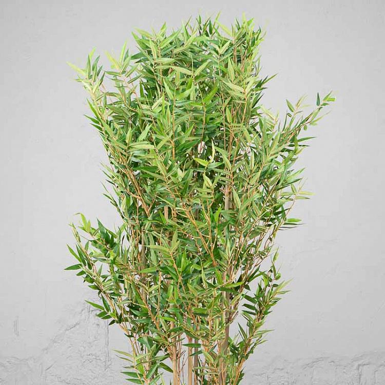 Искусственный бамбук Японский ориенталь, L Japanese Oriental Bamboo 180 cm