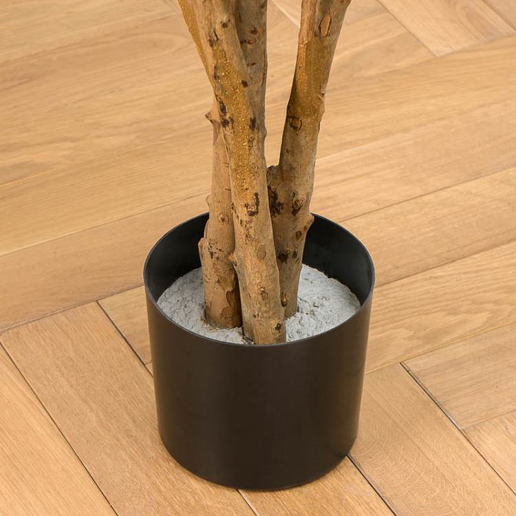 Искусственная ямайская драцена Рефлекса Jamaica Dracaena Reflexa 145 cm