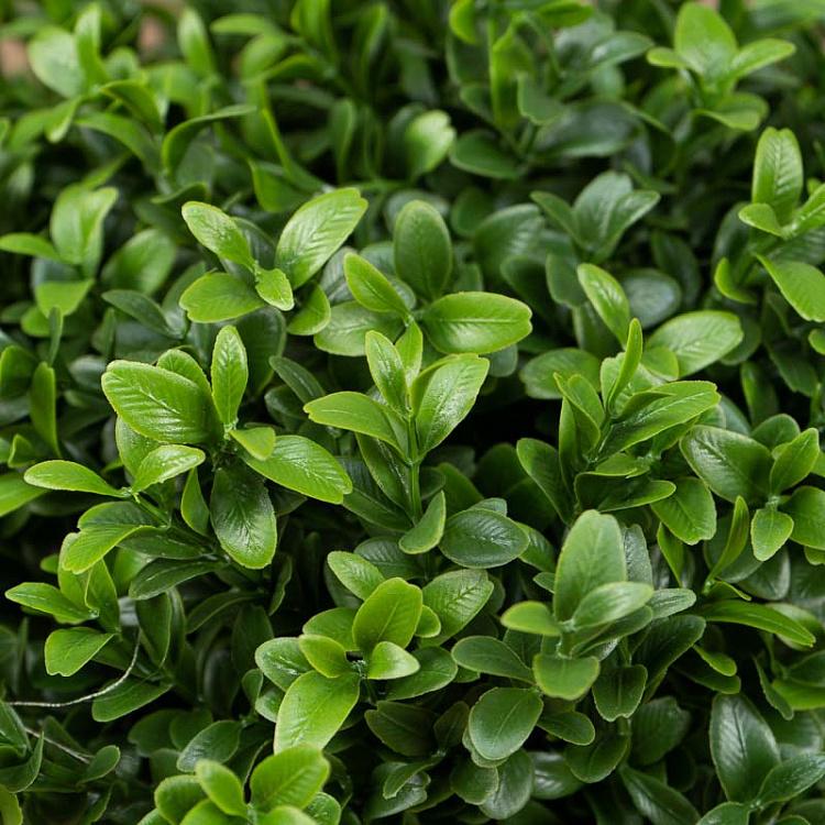 Искусственный самшит в форме шара Boxwood Ball 30 cm