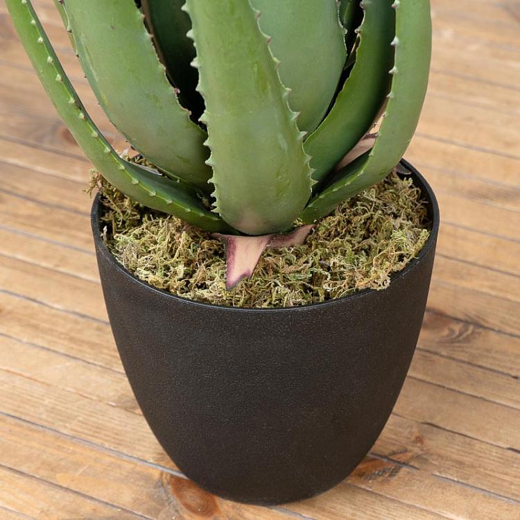 Искусственное алоэ Aloe 67 cm