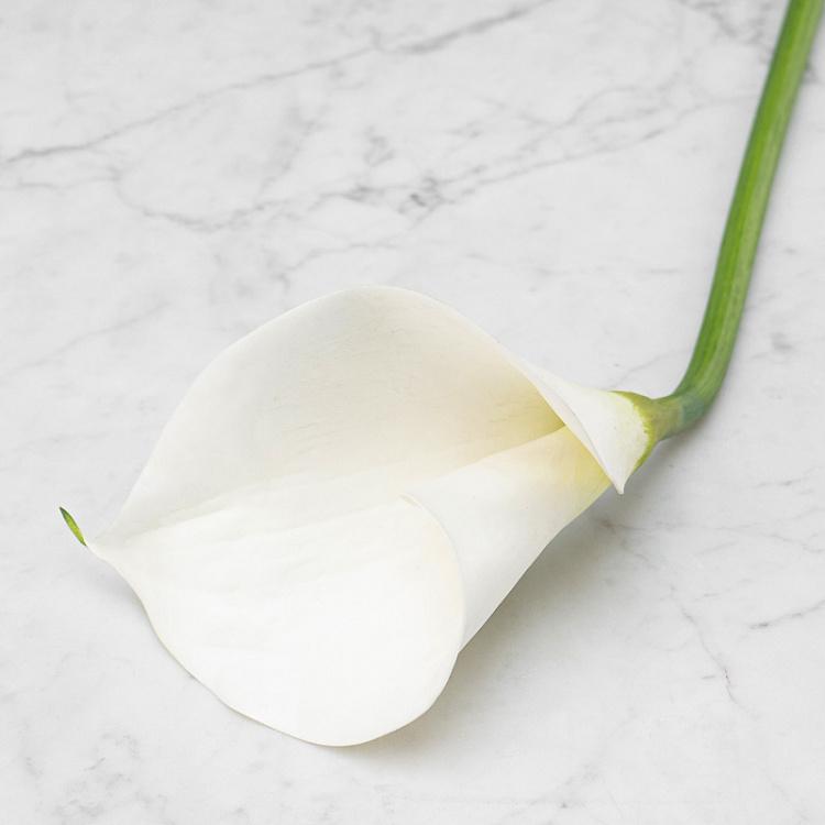 Искусственная калла белая, L Calla White Large 83 cm