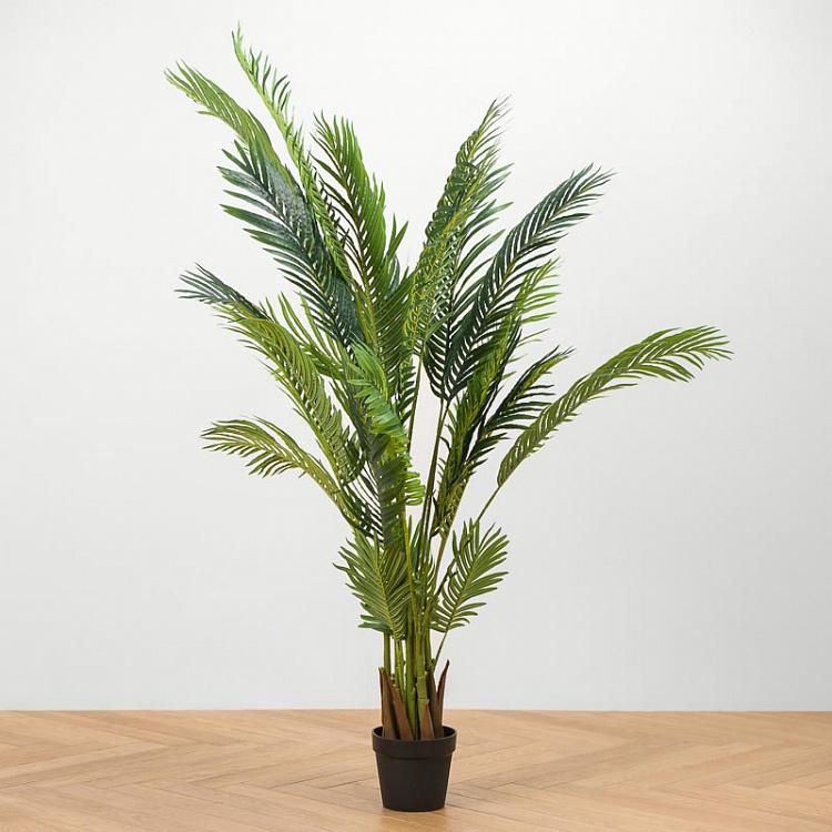 Искусственная пальма Арека Хризалидокарпус, L Areca Chrysalidocarpus Palm 170 cm