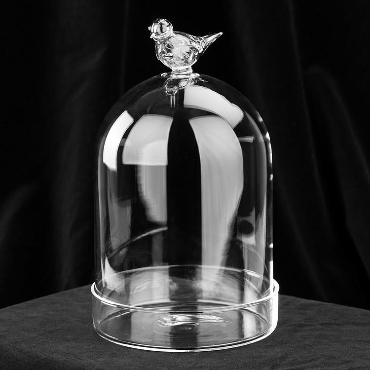 Стеклянный клош с основанием и птицей Glass Dormer With Bird