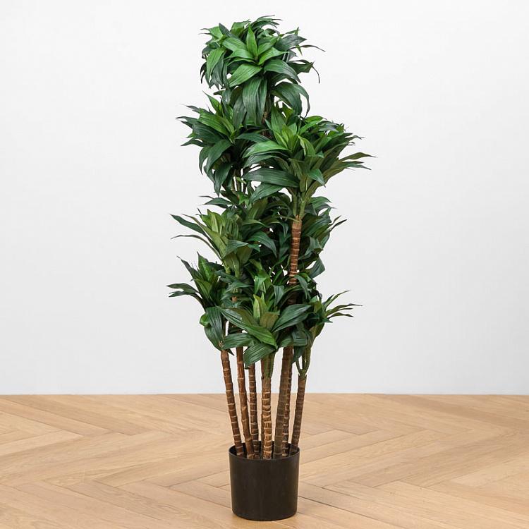 Искусственная драцена Компакта Dracaena Compacta 120 cm
