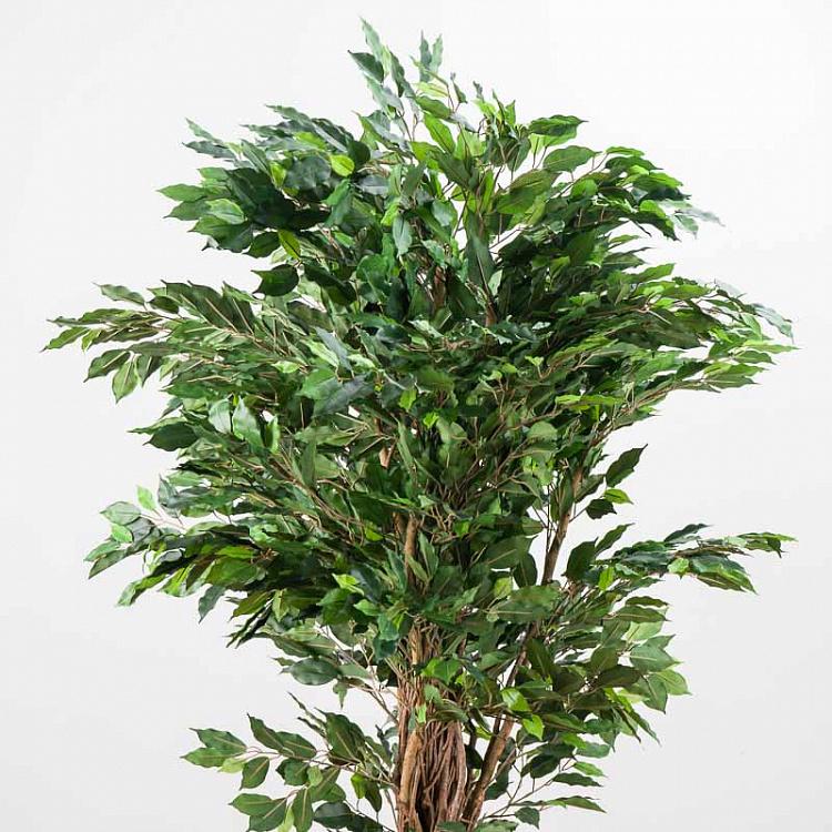 Искусственный фикус Лиана Де люкс, L De Luxe Ficus Liana 180 cm