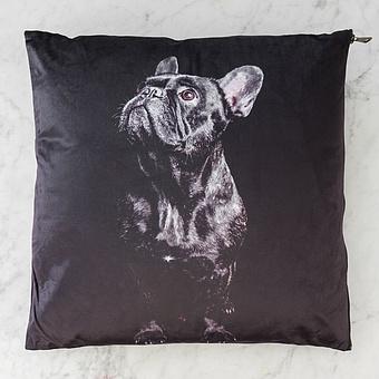Bulldog Cushion