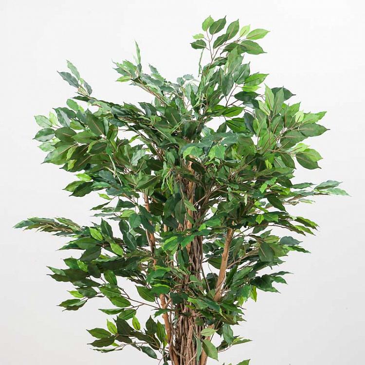 Искусственный фикус Лиана Де люкс, M De Luxe Ficus Liana 210 cm