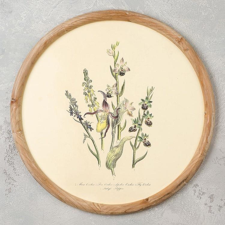 Набор из четырёх картин Флора Set Of 4 Round Frame Prints Flora