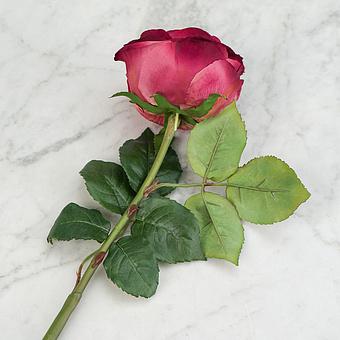Искусственный цветок Gemma Rose Dark Fuchsia 56 cm