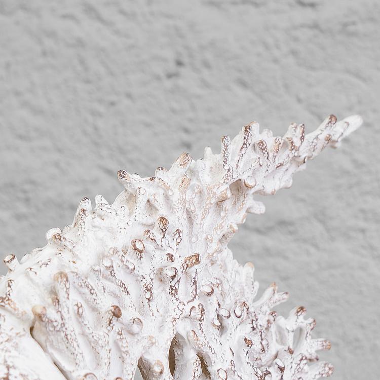 Статуэтка коралловая Рыба-ангел Coral Look Angelfish White