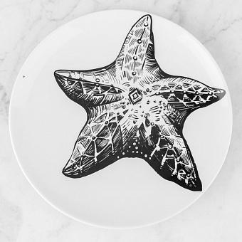 Starfish Plate