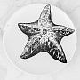 Тарелка Starfish Plate