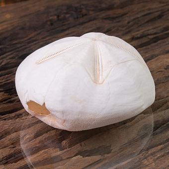 Test D'Oursin Metalia