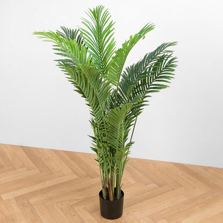 Искусственная пальма Арека Хризалидокарпус, M Areca Chrysalidocarpus Palm 150 cm