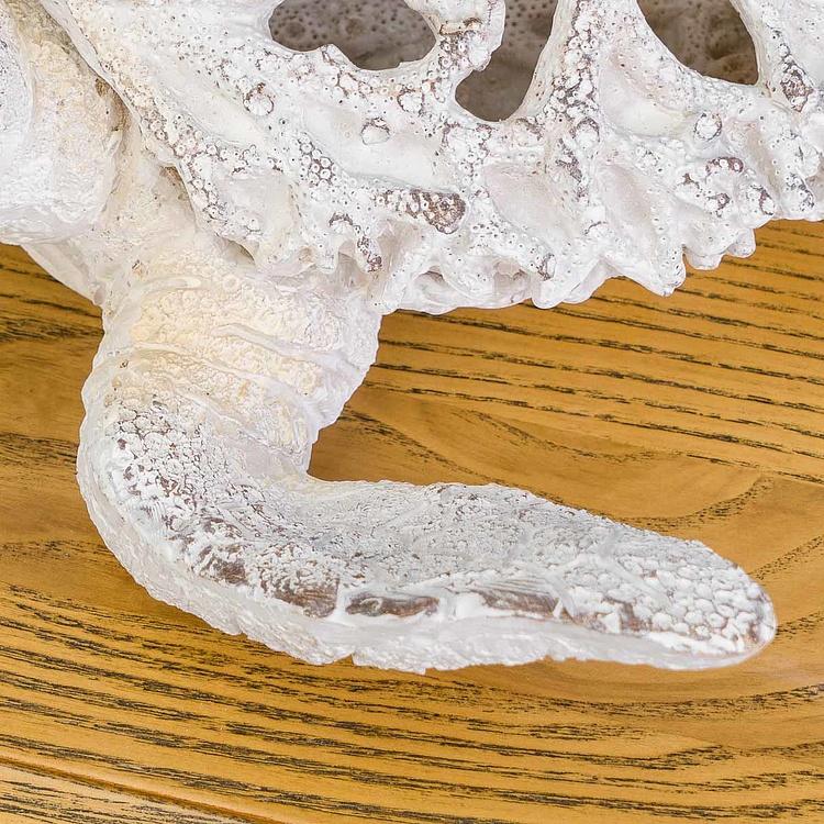 Статуэтка коралловая Черепаха Coral Look Sea Turtle White