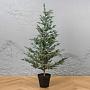 Искусственная ёлка Frost-Covered Christmas Tree In Pot 140 cm