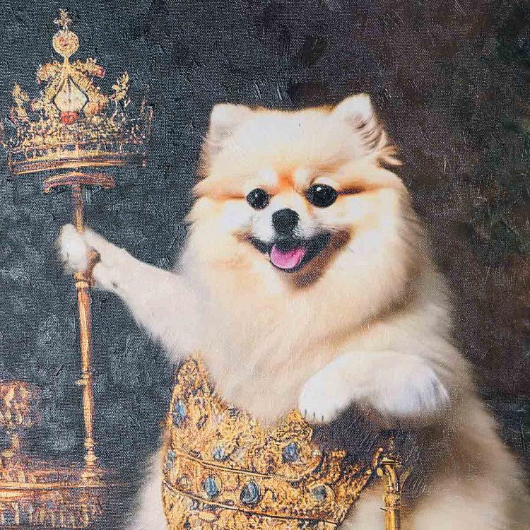 Картина Шпиц 1, холст, акрил Canvas Acrylic Painting Pomeranian 1