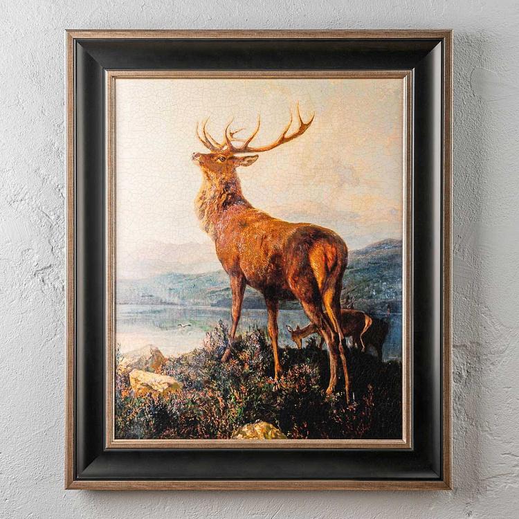 Картина-олеография в чёрной с золотом раме Монарх Долины Monarch Of The Glen, EM10 Frame